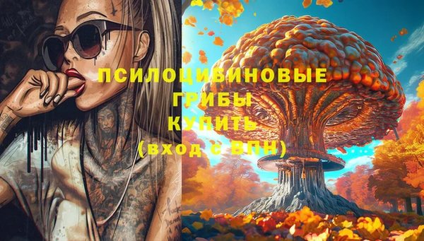 ALPHA PVP Белокуриха