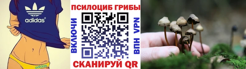 Псилоцибиновые грибы MAGIC MUSHROOMS Белореченск